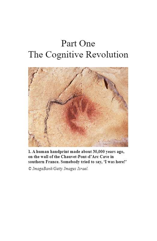 sapiens: a brief history of humankind - Ảnh 3