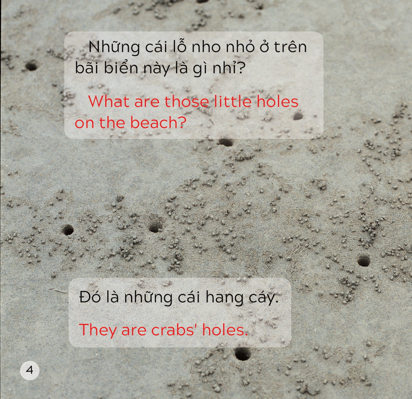 song ngữ việt anh - khám phá thế giới - trên bãi biển - at the beach - Ảnh 5
