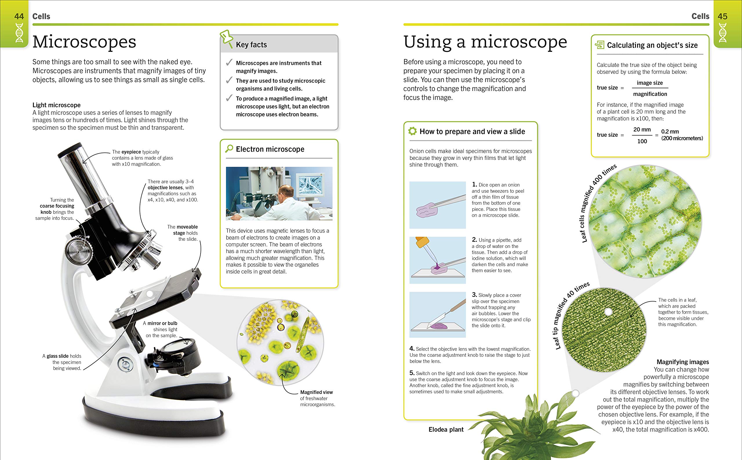 super simple biology: the ultimate bitesize study guide - Ảnh 6