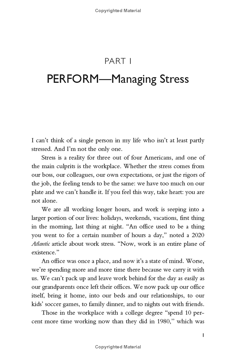 sustain your game: high performance keys to manage stress, avoid stagnation, and beat burnout - Ảnh 5