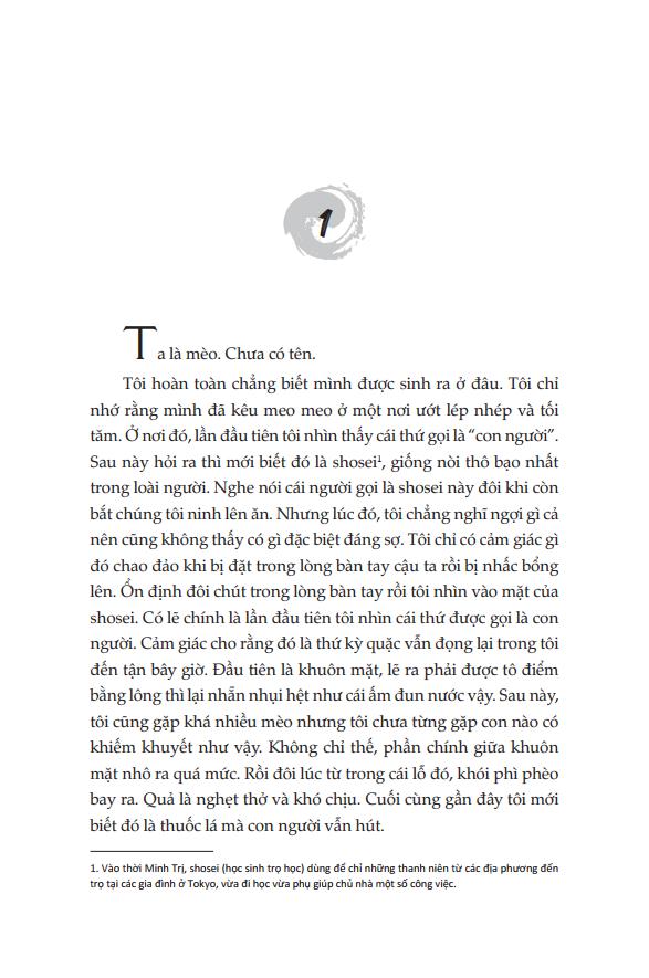 Ta Là Mèo - Ảnh 5