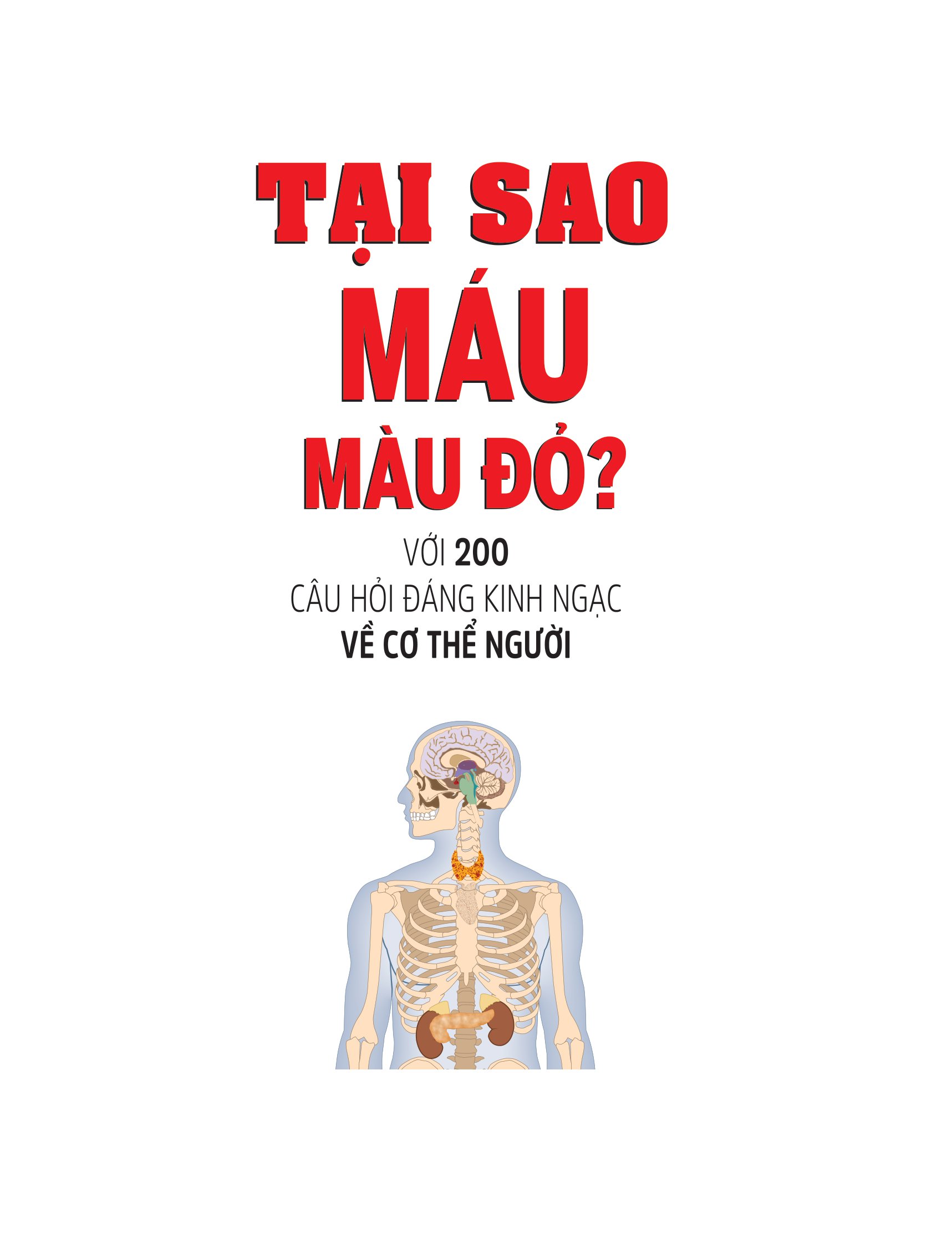 tại sao máu màu đỏ? - với 200 câu hỏi đáng kinh ngạc về cơ thể người - Ảnh 2