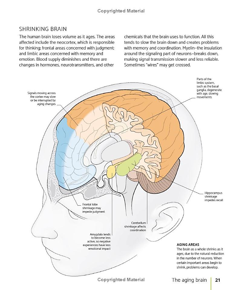 the brain fitness book: activities and puzzles to keep your mind active and healthy - Ảnh 12