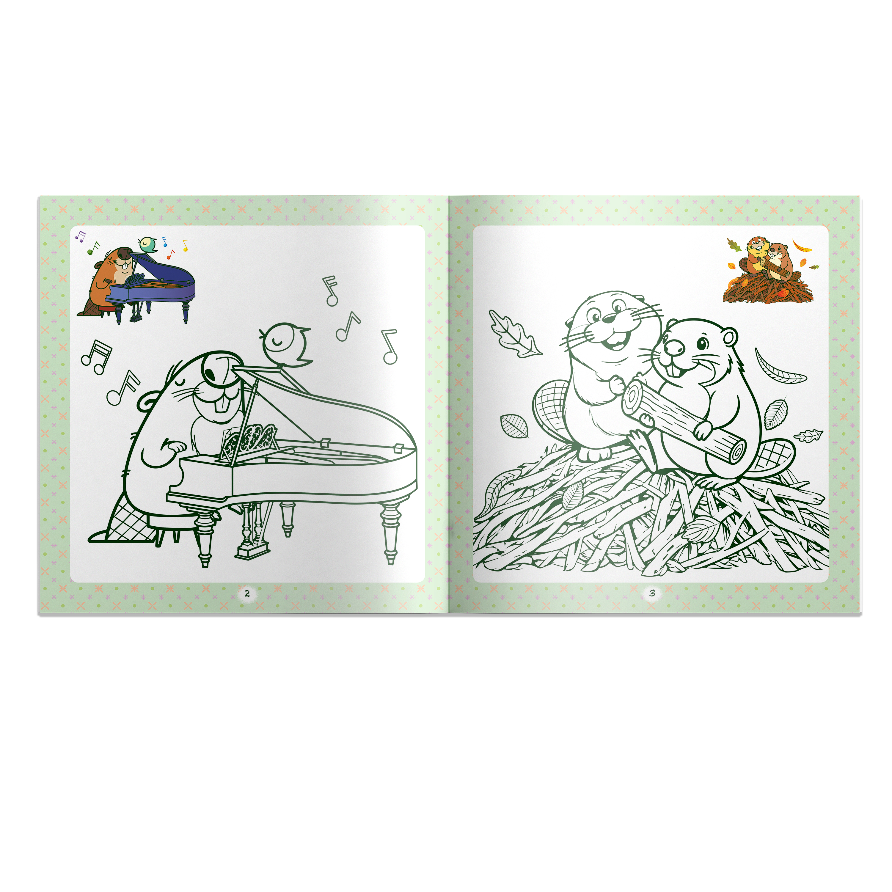 Thế Giới Hải Ly - Tô Màu - Ảnh 3