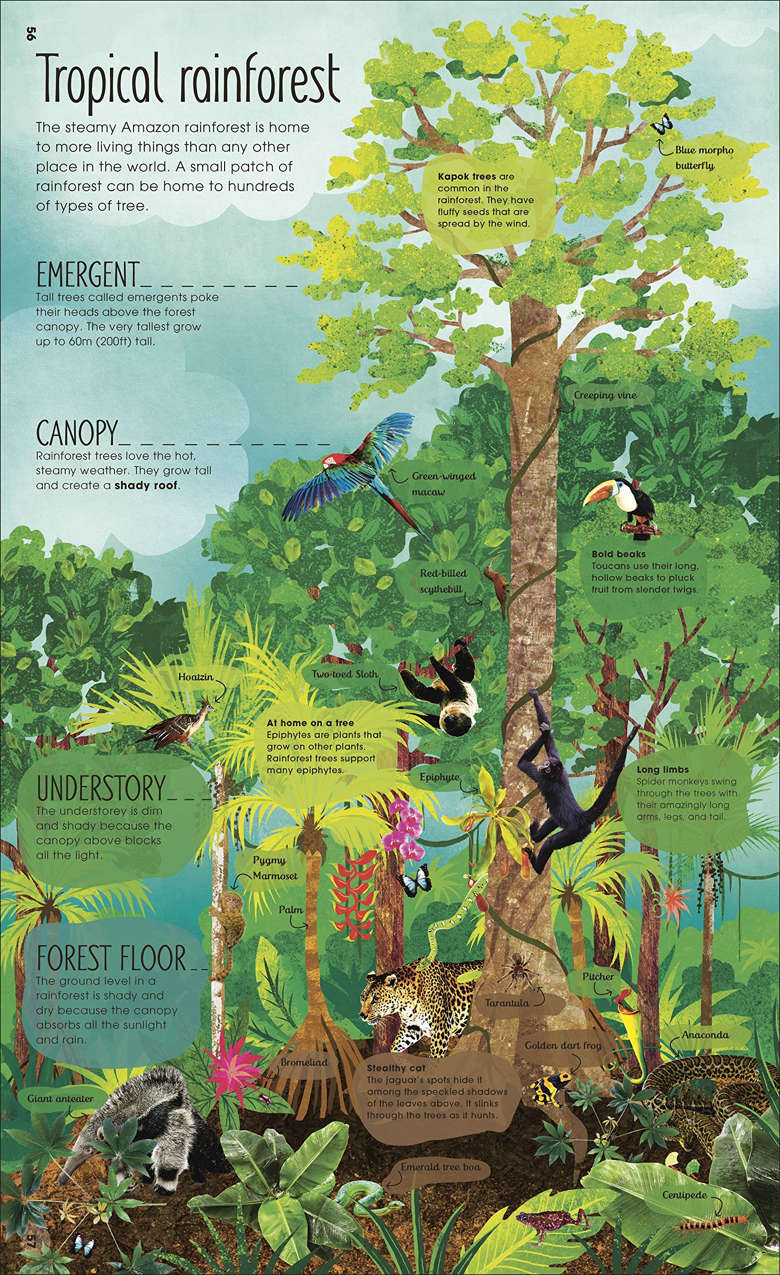 the magic and mystery of trees - Ảnh 5