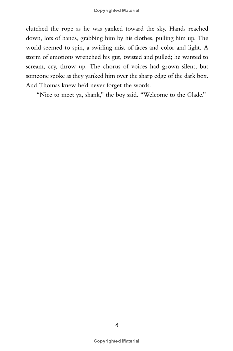 the maze runner - Ảnh 10