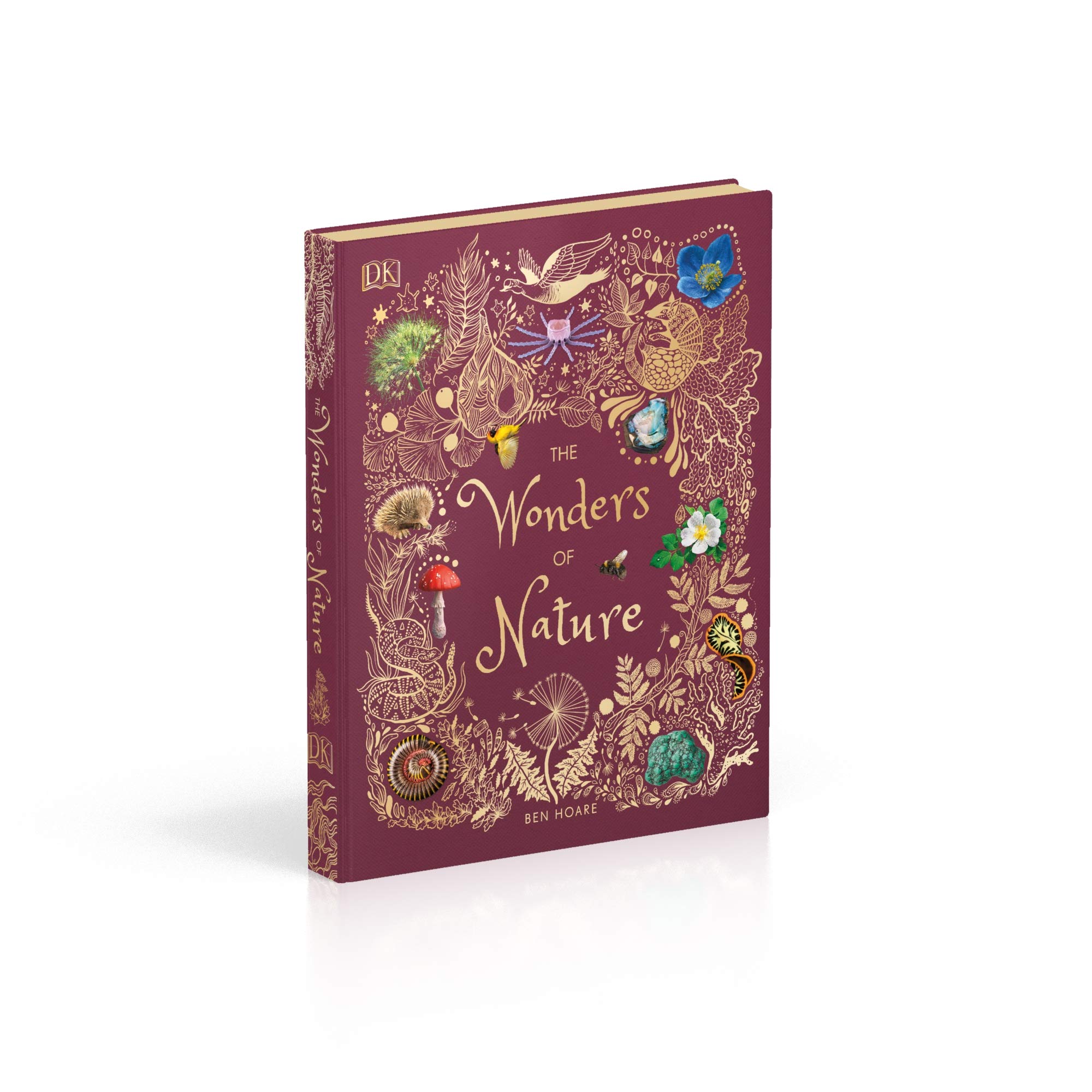 the wonders of nature - Ảnh 11