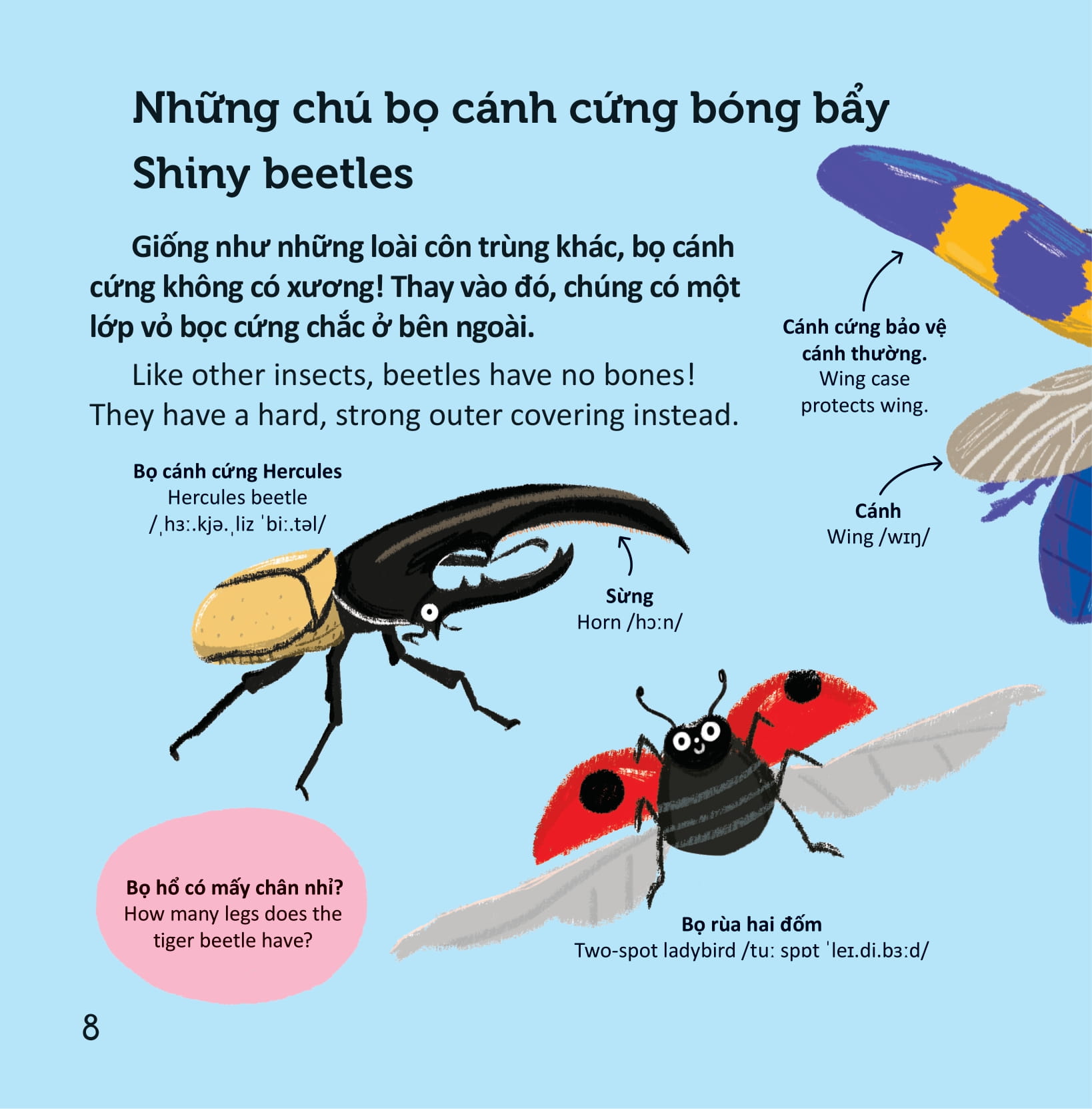 thư viện từ vựng đầu đời cho bé - các loài sâu bọ - bugs! - Ảnh 7