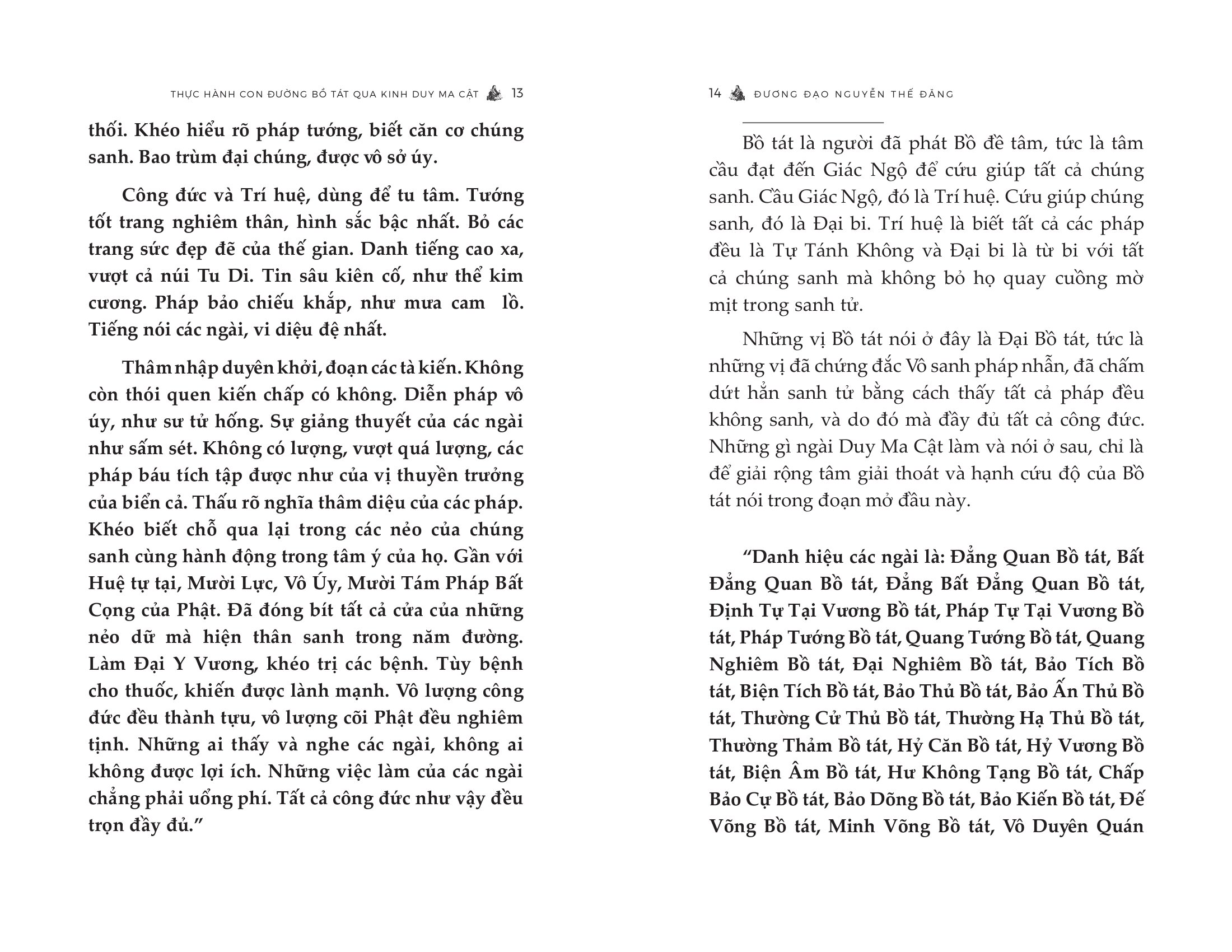 Thực Hành Con Đường Bồ Tát Qua Kinh Duy Ma Cật - Ảnh 8