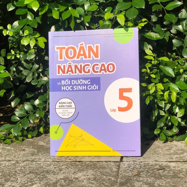 toán nâng cao và bồi dưỡng học sinh giỏi lớp 5 - Ảnh 2
