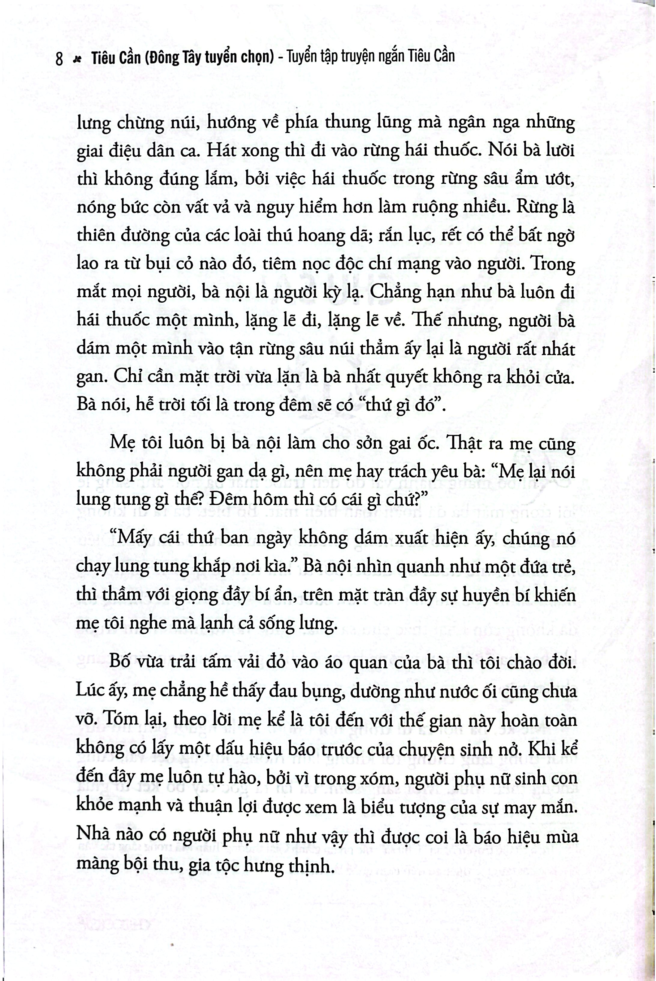 Tuyển Tập Truyện Ngắn Tiểu Cần - Ảnh 5