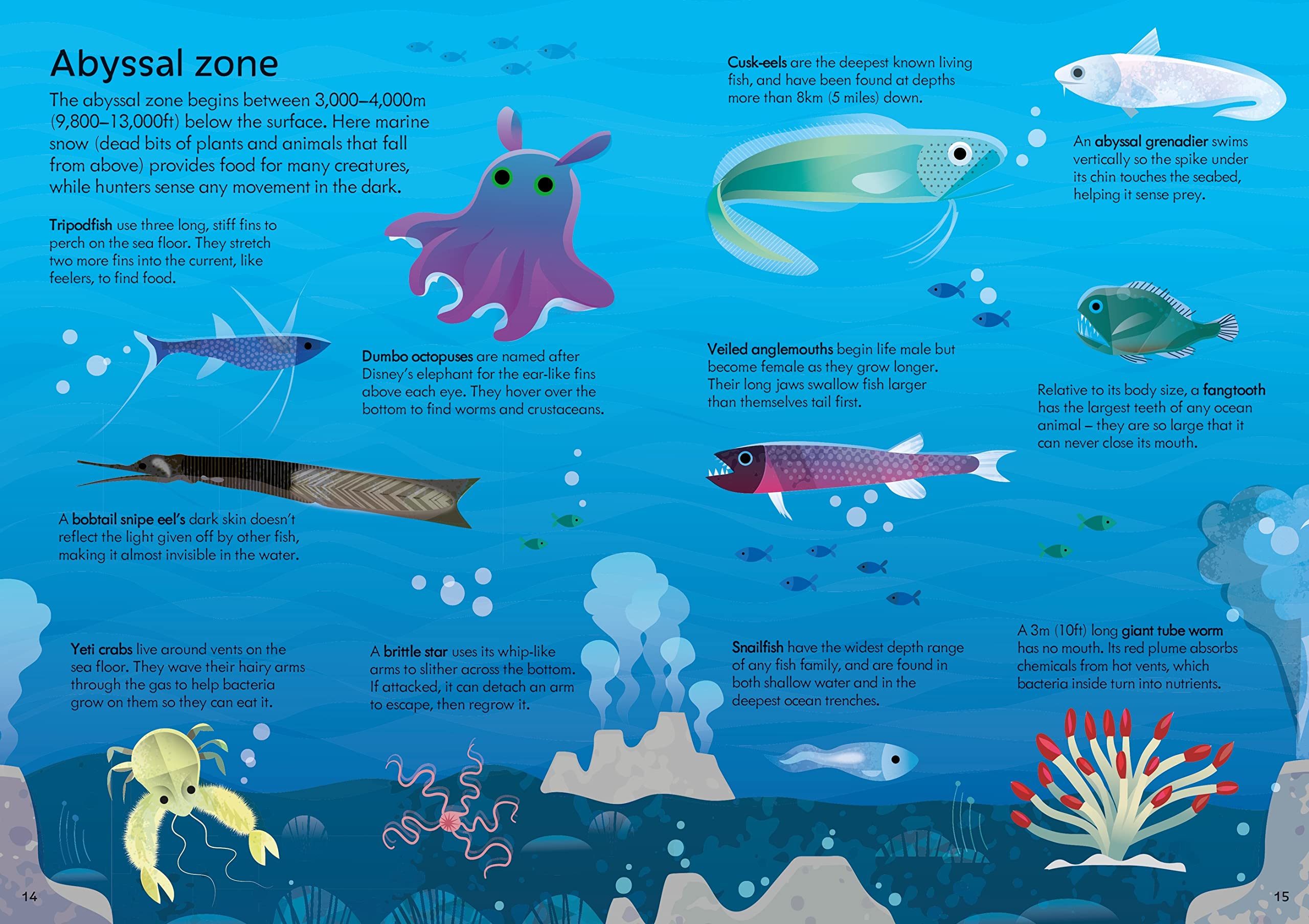 usborne book and jigsaw oceans - Ảnh 4