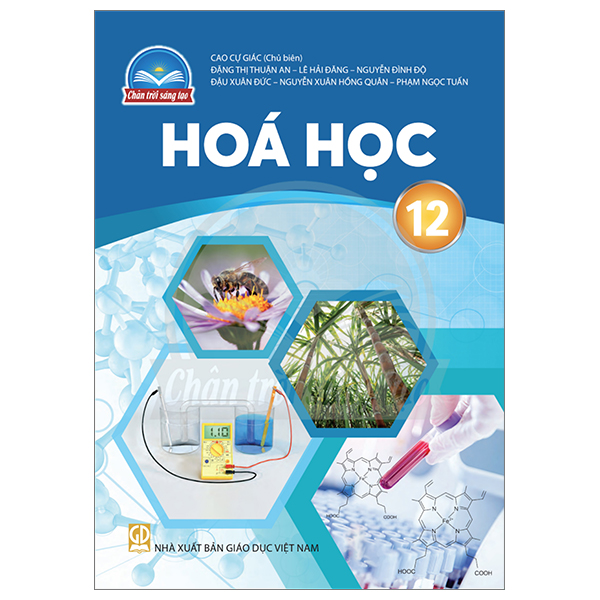 Vật Lí 12 (Chân Trời) (Chuẩn) - Ảnh 28