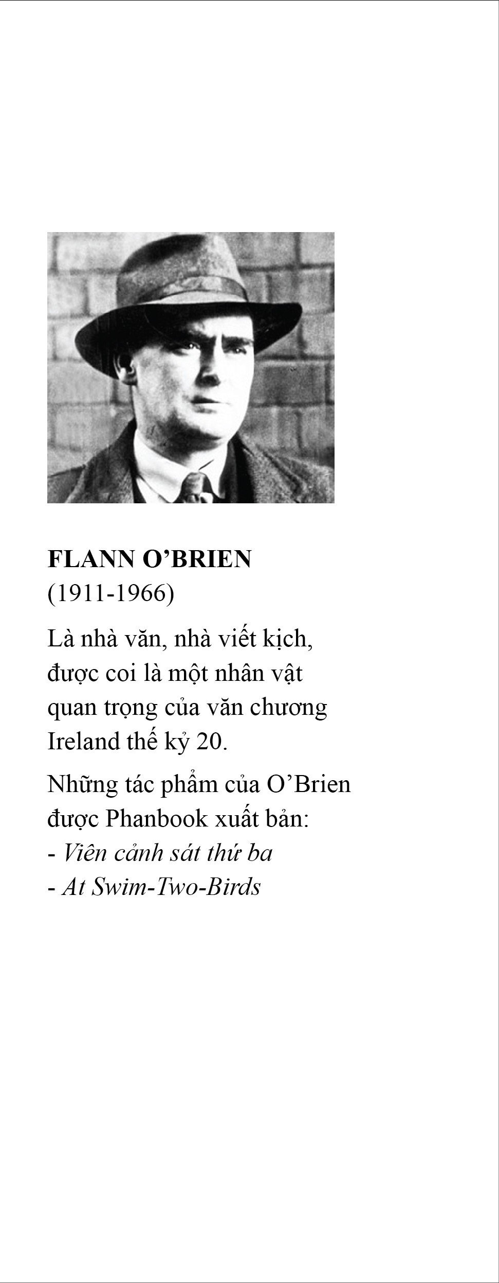 viên cảnh sát thứ ba - Ảnh 3